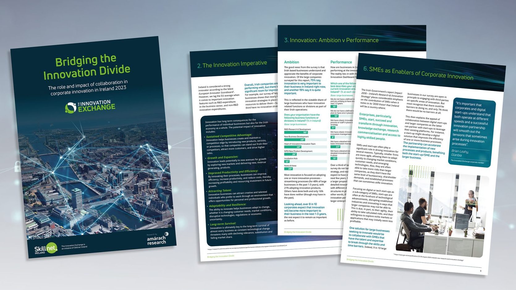 New research: Bridging the Innovation Divide