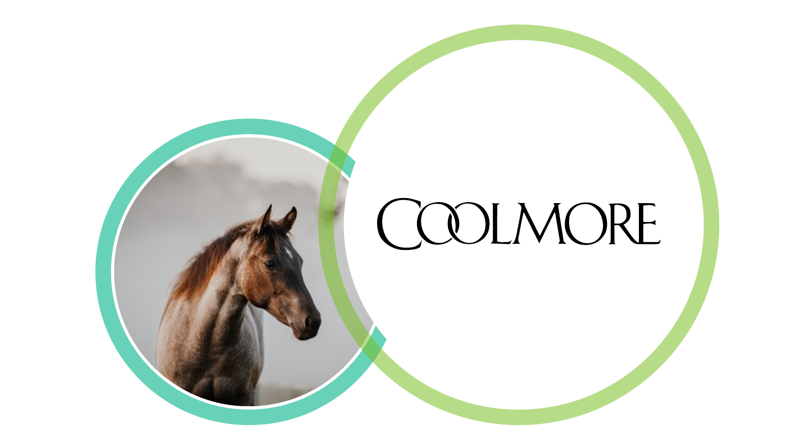 Coolmore Stud Challenge
