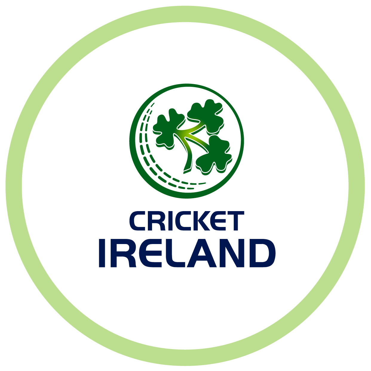 Challenges-so-Far_Cricket-Ireland-Graphic.png